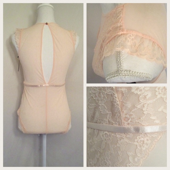 Pearl Blush Lace & Mesh Bodysuit / Lingerie - Picture 3 of 8